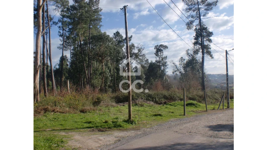 Terreno para Venda em Lodares Foto 7