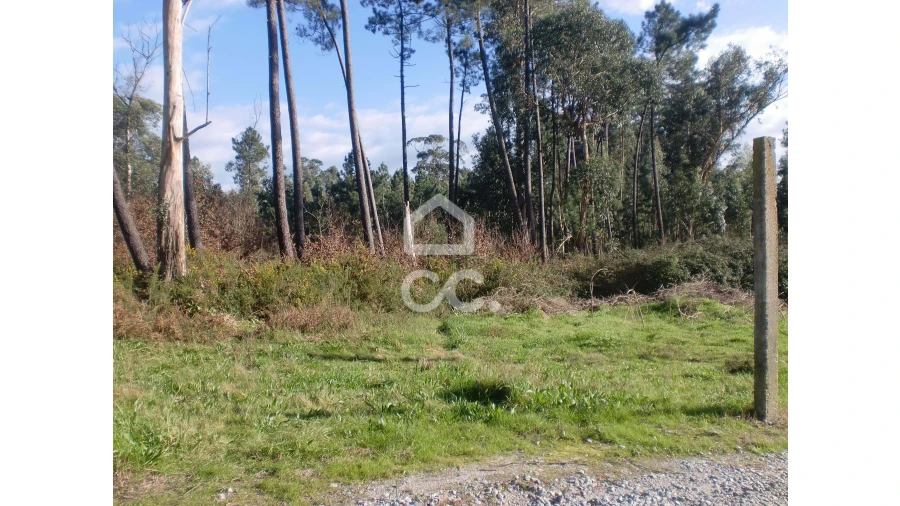 Terreno para Venda em Lodares Foto 5