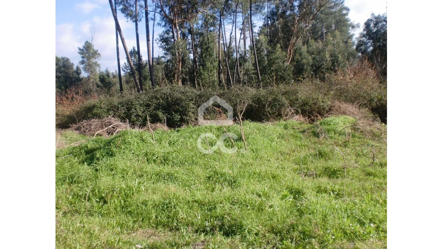 Terreno para Venda em Lodares Foto 3