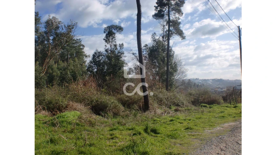 Terreno para Venda em Lodares Foto 2
