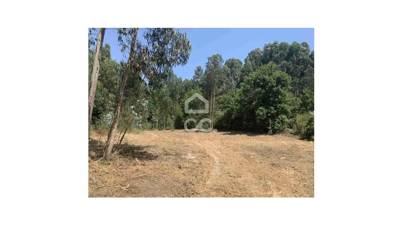 Terreno para Venda em Termas de São Vicente Foto 2