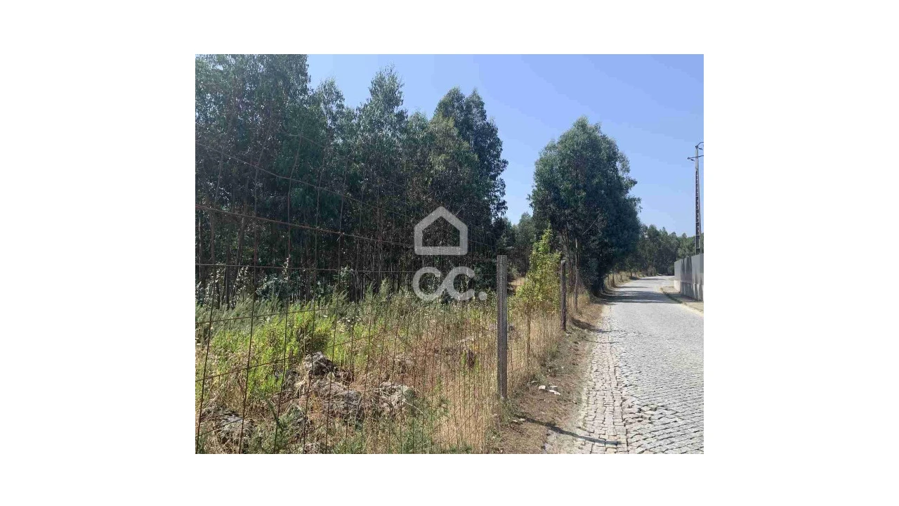 Terreno para Venda em Termas de São Vicente Foto 3