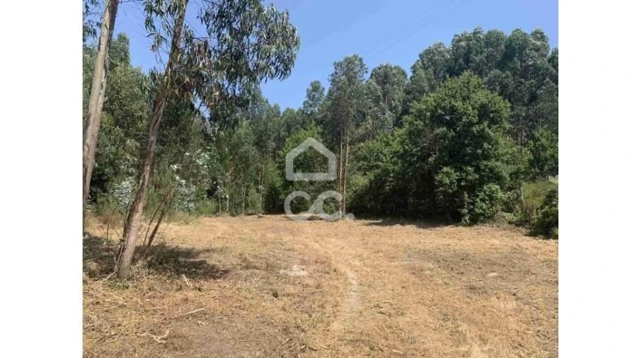 Terreno para Venda em Termas de São Vicente Foto 2