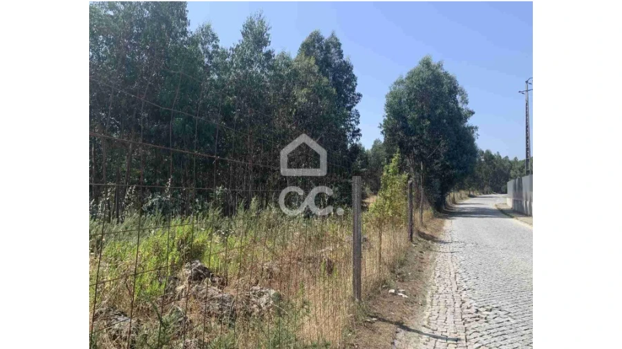 Terreno para Venda em Termas de São Vicente Foto 3