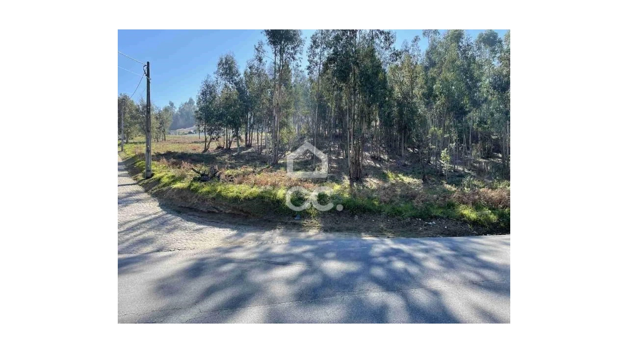 Terreno para Venda em Fonte Arcada Foto 5