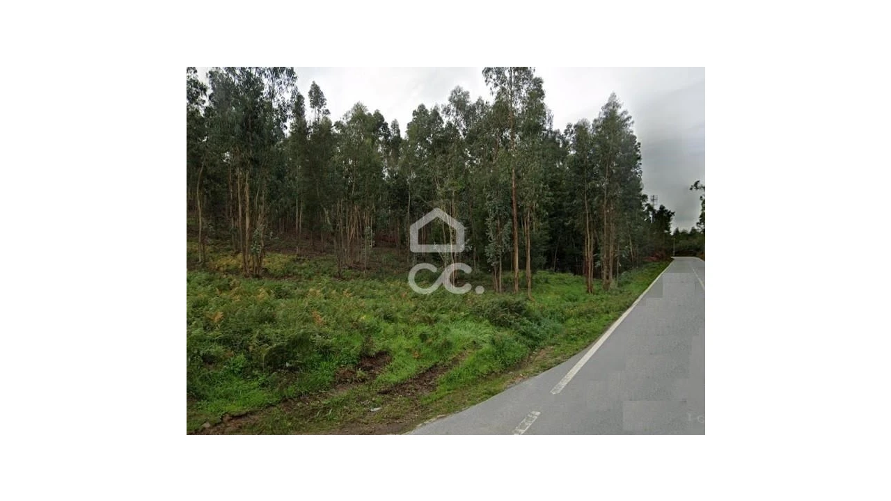 Terreno para Venda em Fonte Arcada Foto 3