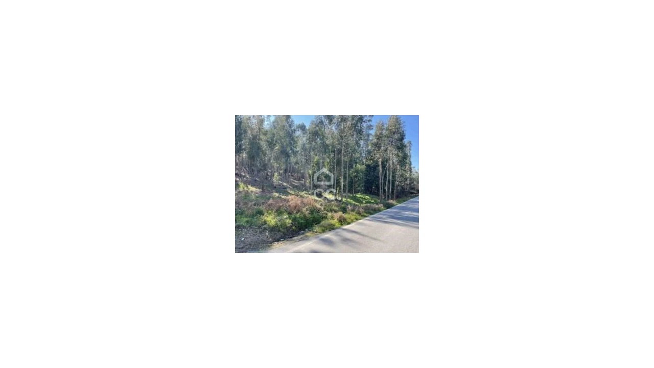 Terreno para Venda em Fonte Arcada Foto 7