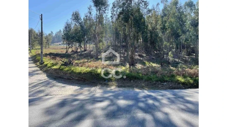 Terreno para Venda em Fonte Arcada Foto 5