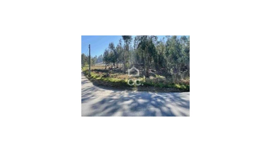 Terreno para Venda em Fonte Arcada Foto 8