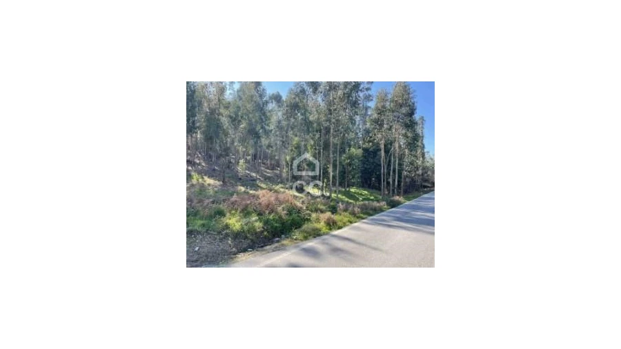 Terreno para Venda em Fonte Arcada Foto 7