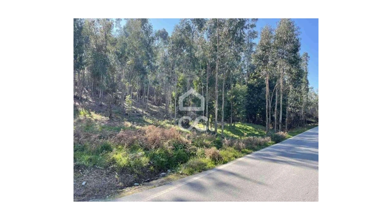 Terreno para Venda em Fonte Arcada Foto 6