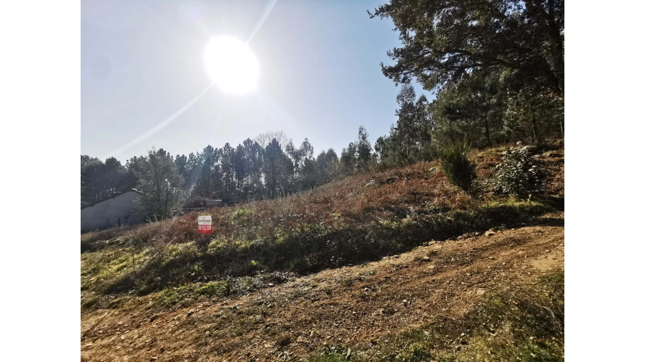 Terreno para Venda em Idães Foto 16