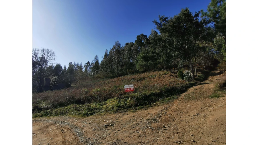 Terreno para Venda em Idães Foto 15
