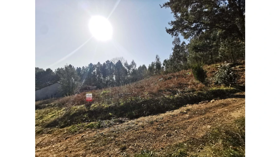 Terreno para Venda em Idães Foto 16