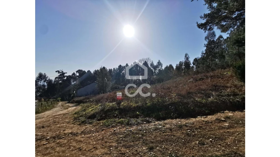 Terreno para Venda em Idães Foto 7