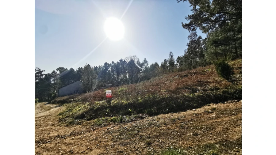 Terreno para Venda em Idães Foto 17