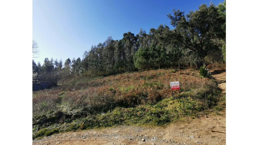 Terreno para Venda em Idães Foto 14