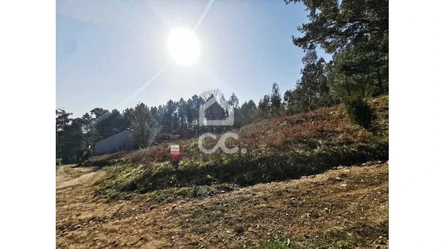 Terreno para Venda em Idães Foto 12