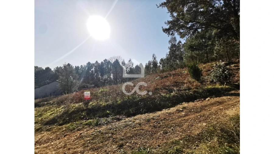 Terreno para Venda em Idães Foto 6