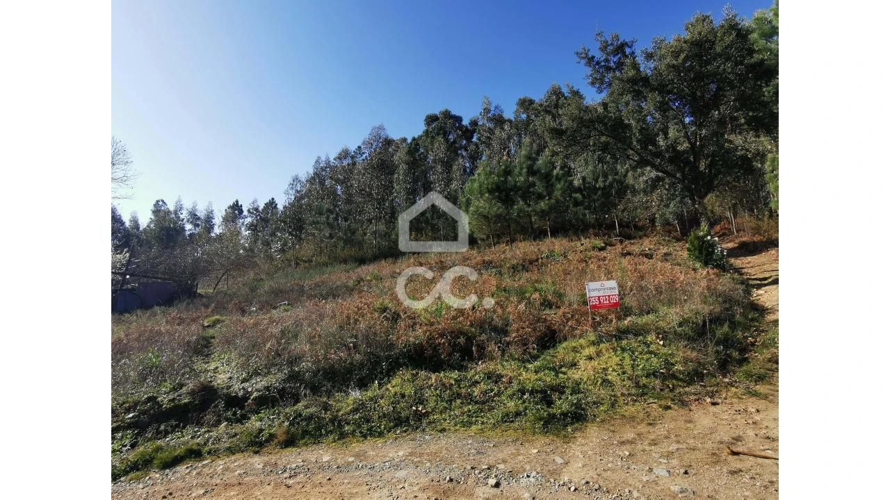 Terreno para Venda em Idães Foto 3