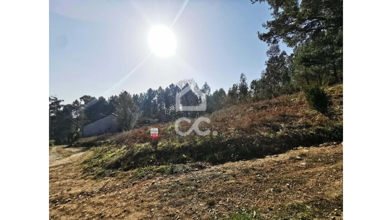 Terreno para Venda em Idães Foto 8