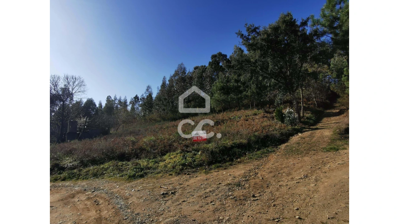 Terreno para Venda em Idães Foto 11