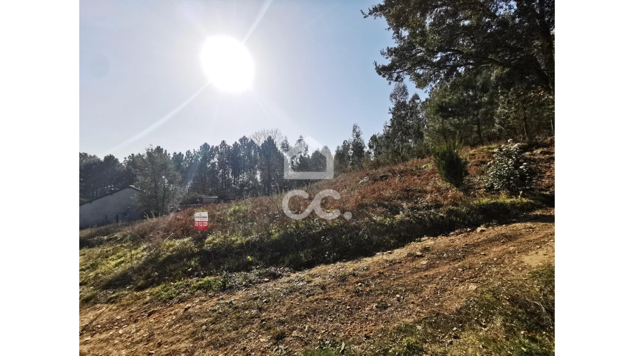 Terreno para Venda em Idães Foto 6