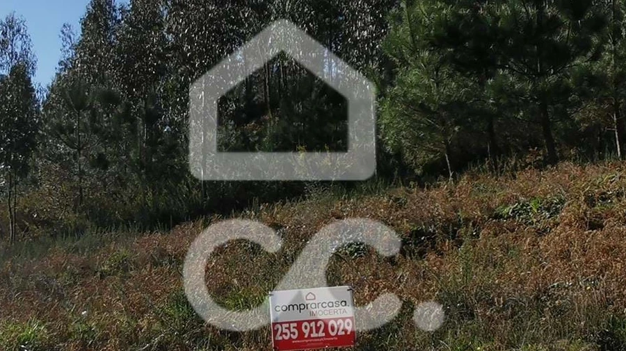 Terreno para Venda em Idães