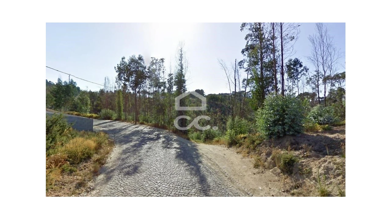 Terreno para Venda em Recezinhos (São Martinho) Foto 5