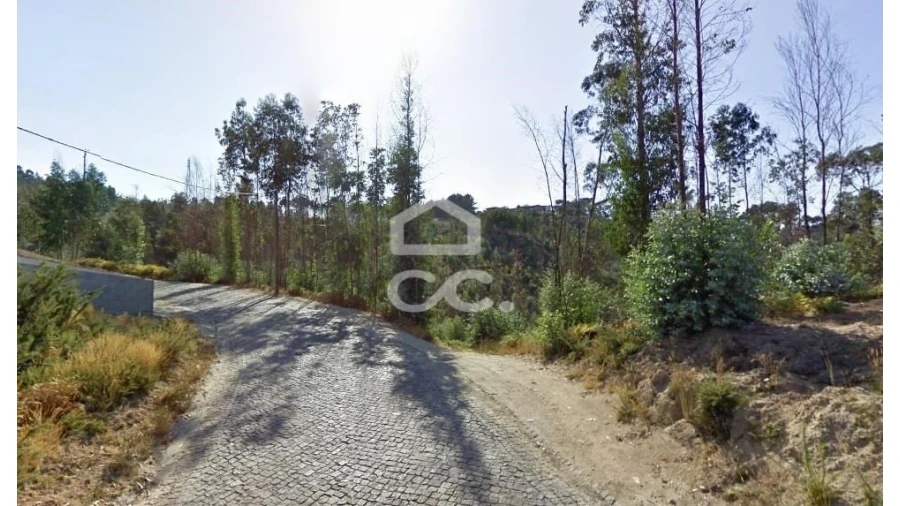 Terreno para Venda em Recezinhos (São Martinho) Foto 5