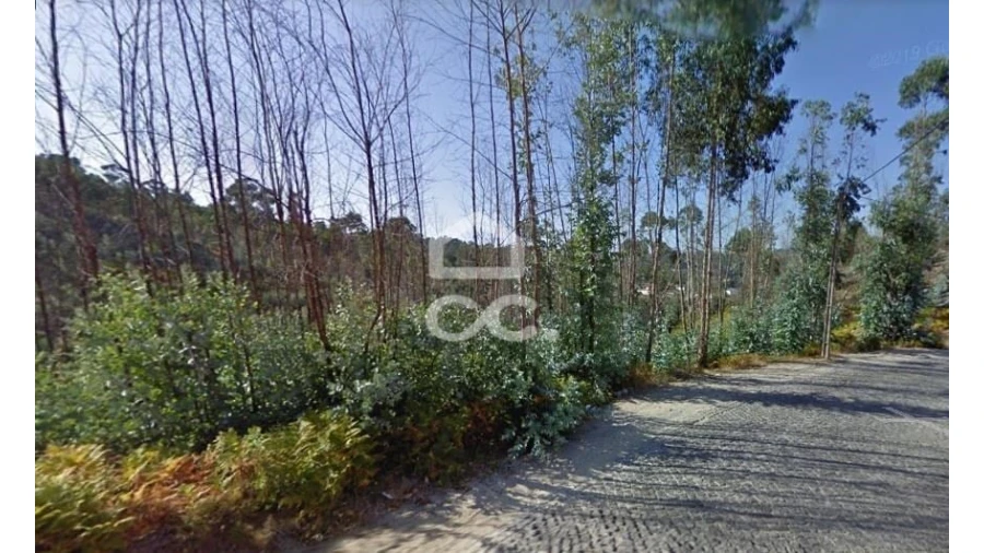 Terreno para Venda em Recezinhos (São Martinho) Foto 4