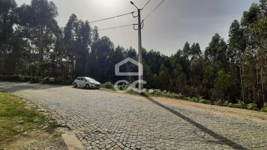 Terreno para Venda em Recezinhos (São Martinho) Foto 3