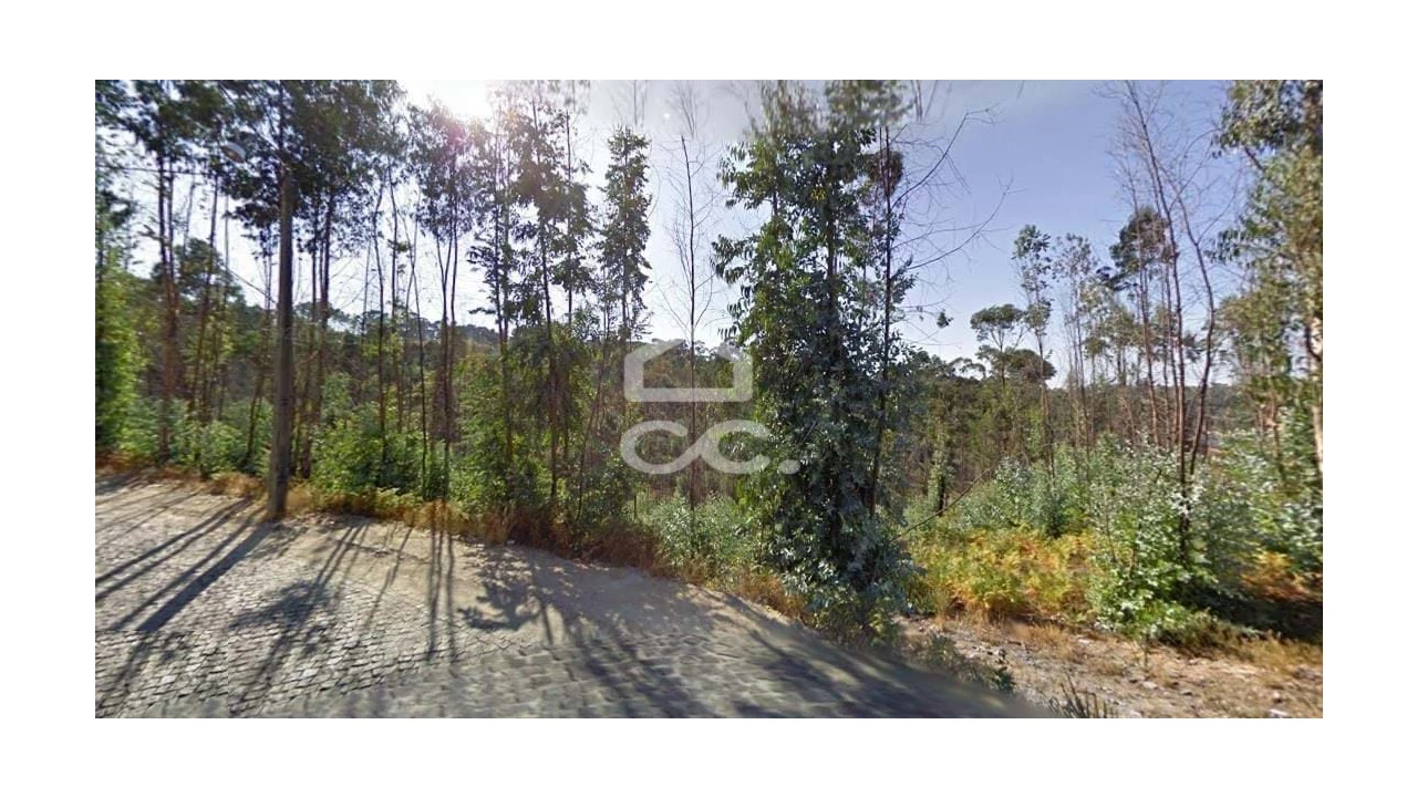 Terreno para Venda em Recezinhos (São Martinho) Foto 6