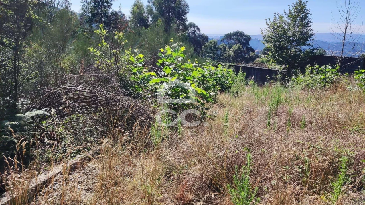 Terreno para Venda em Sousela Foto 10
