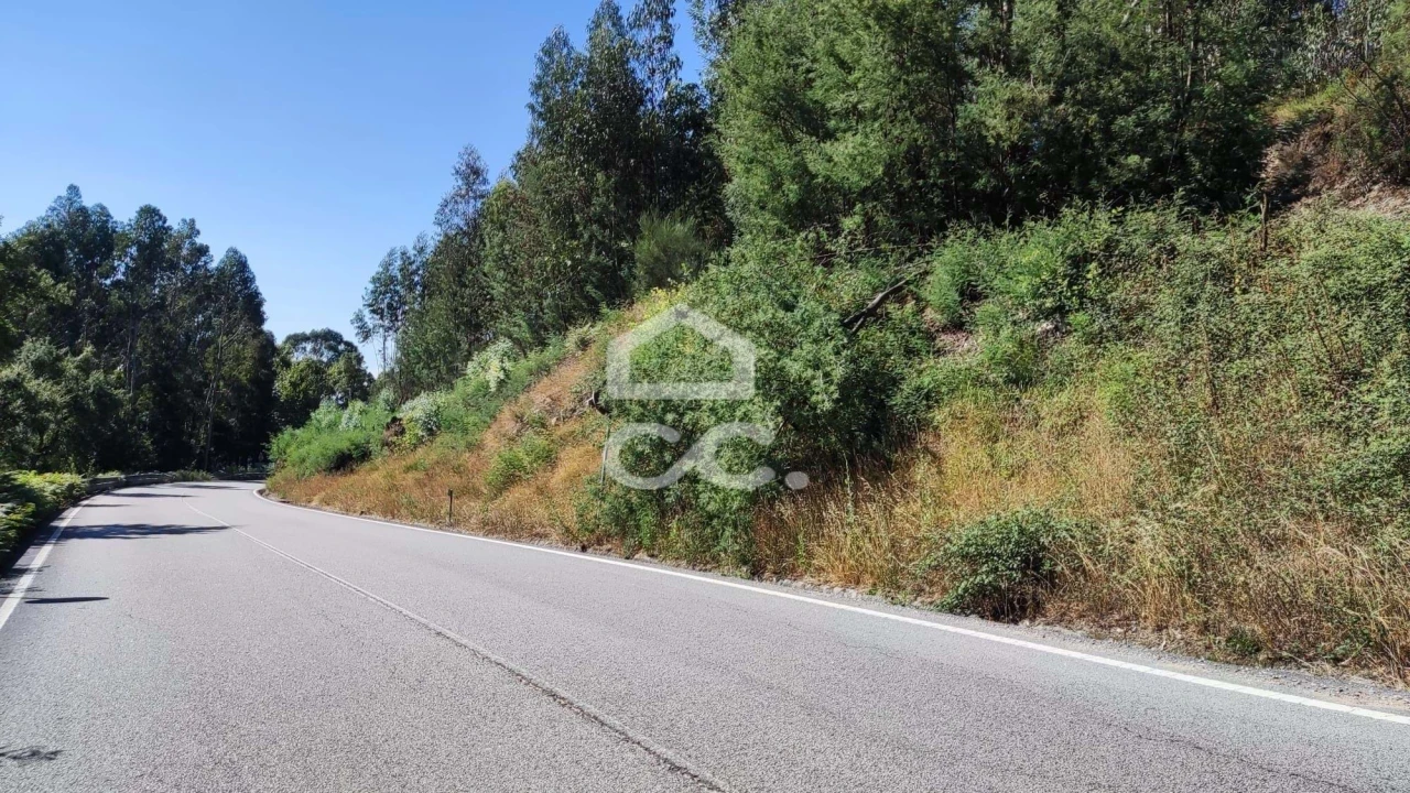 Terreno para Venda em Sousela Foto 2