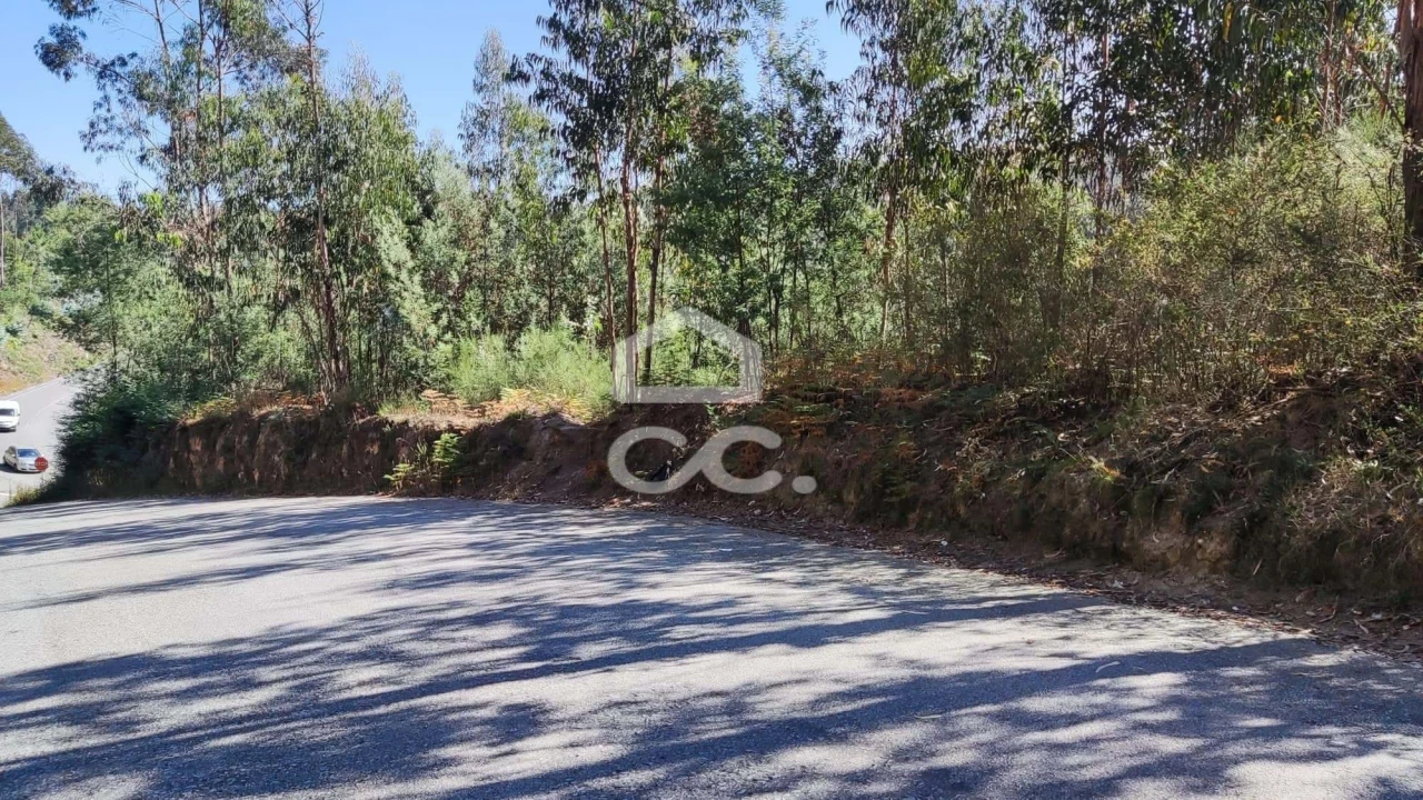Terreno para Venda em Sousela Foto 6