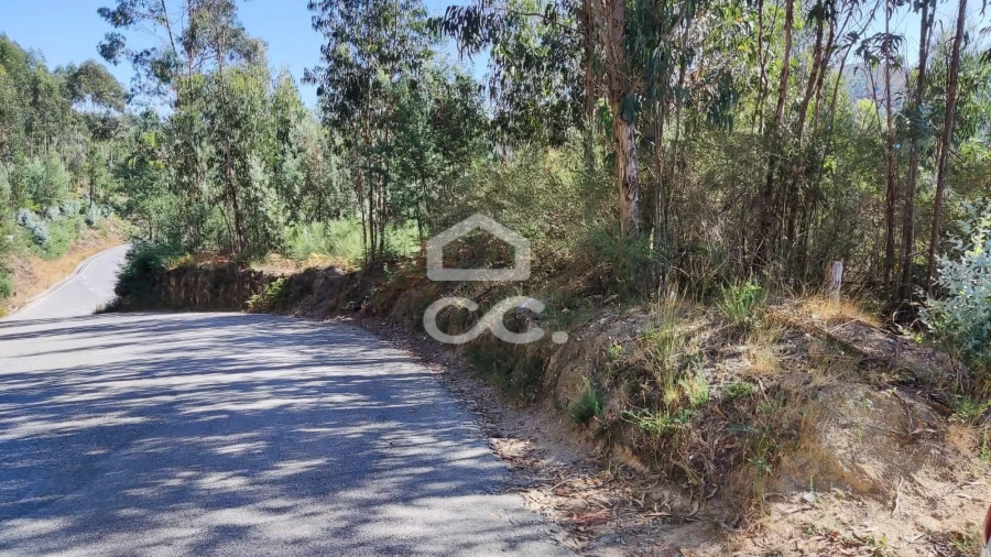 Terreno para Venda em Sousela Foto 7