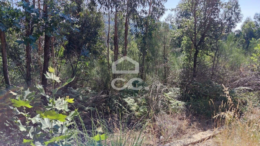 Terreno para Venda em Sousela Foto 8
