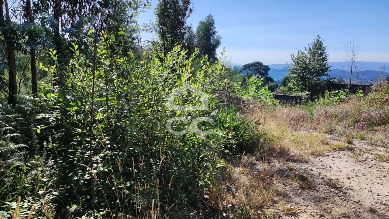 Terreno para Venda em Sousela Foto 9