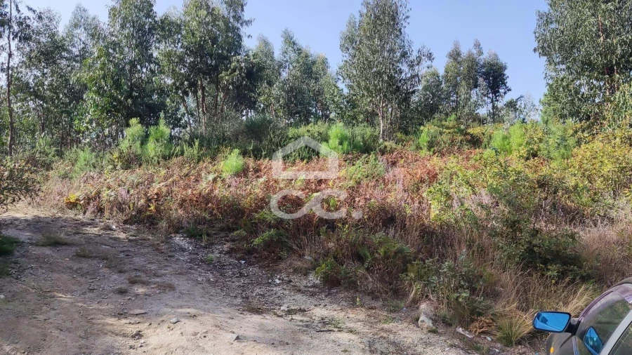 Terreno para Venda em Silvares, Pias, Nogueira e Alvarenga Foto 7