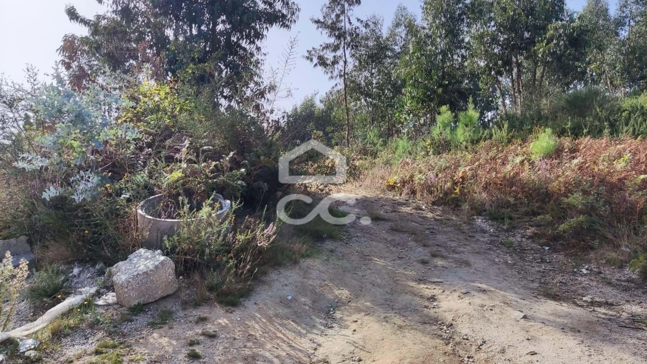 Terreno para Venda em Silvares, Pias, Nogueira e Alvarenga Foto 8