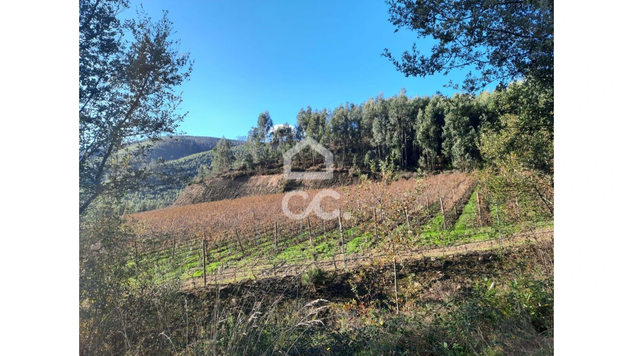 Terreno para Venda em Cernadelo e Lousada (São Miguel e Santa Margarida) Foto 7
