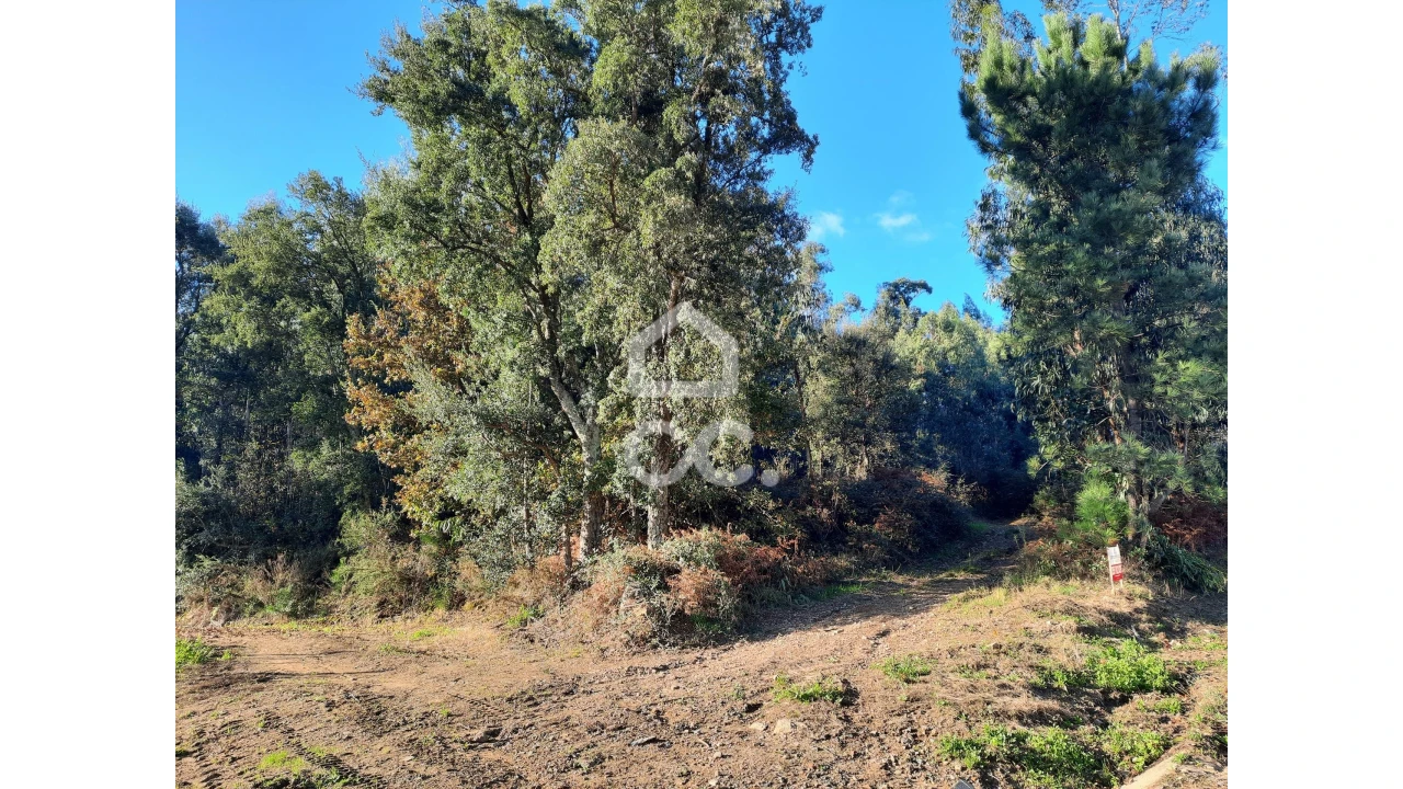 Terreno para Venda em Cernadelo e Lousada (São Miguel e Santa Margarida) Foto 19