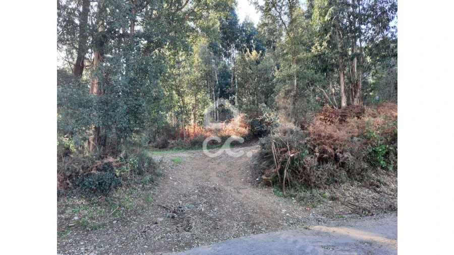 Terreno para Venda em Cernadelo e Lousada (São Miguel e Santa Margarida) Foto 6