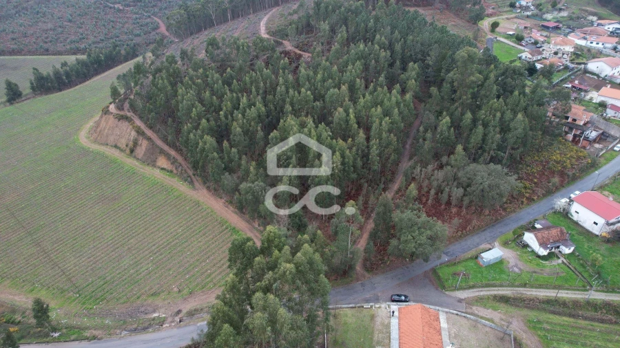 Terreno para Venda em Cernadelo e Lousada (São Miguel e Santa Margarida) Foto 22