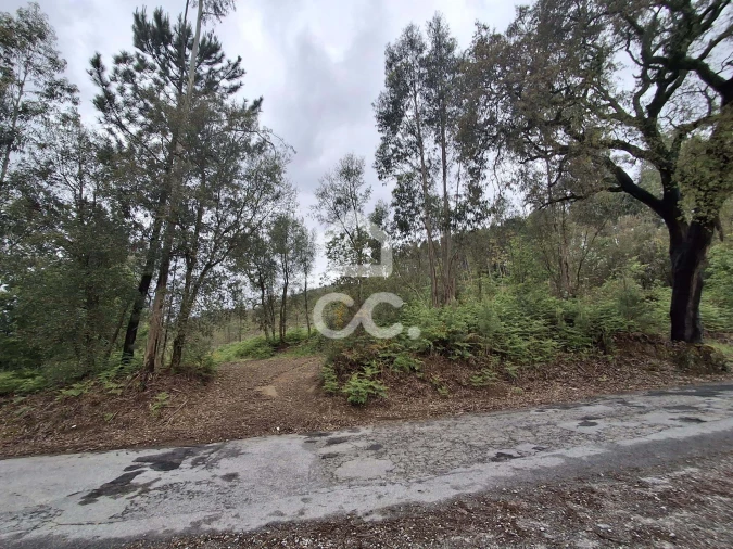 Terreno para Venda em Cernadelo e Lousada (São Miguel e Santa Margarida) Foto 33