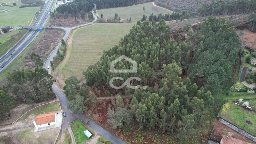 Terreno para Venda em Cernadelo e Lousada (São Miguel e Santa Margarida) Foto 25