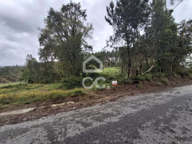 Terreno para Venda em Cernadelo e Lousada (São Miguel e Santa Margarida) Foto 32