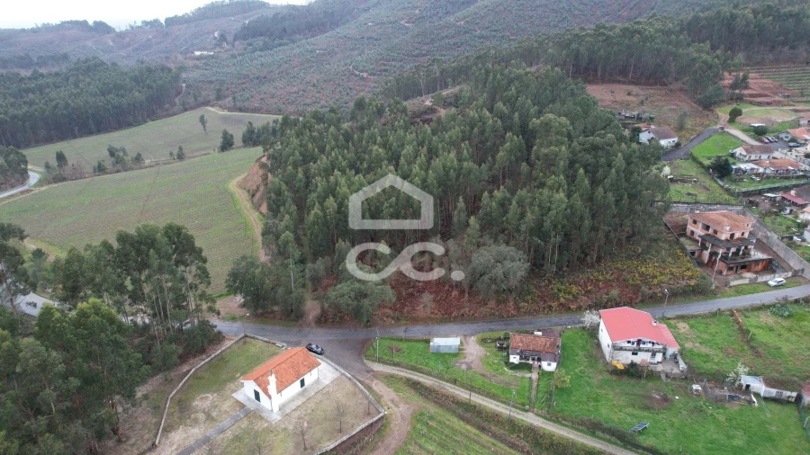 Terreno para Venda em Cernadelo e Lousada (São Miguel e Santa Margarida)