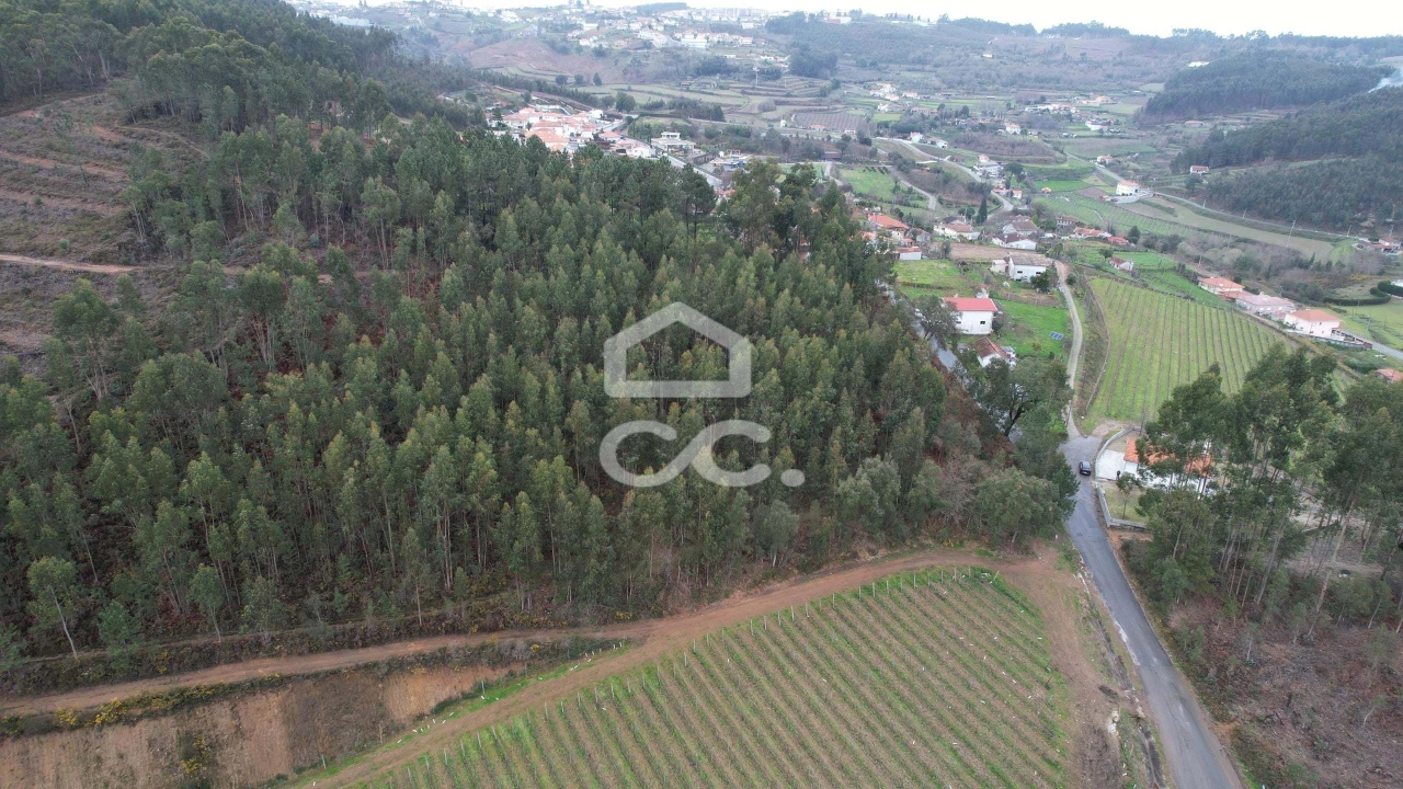 Terreno para Venda em Cernadelo e Lousada (São Miguel e Santa Margarida) Foto 23